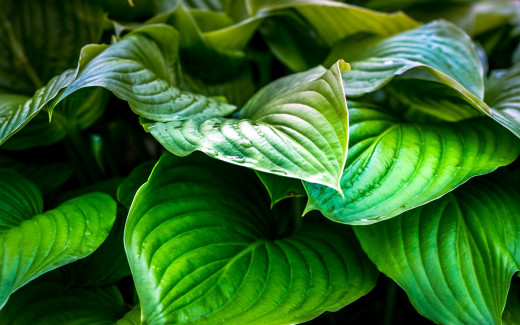 1147607 (a): :2560x1600